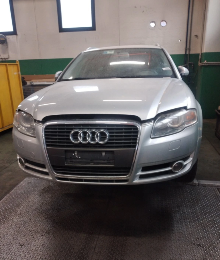 Audi A4 B7 НА ЧАСТИ | 2.0 TDI (Седан / Комби)