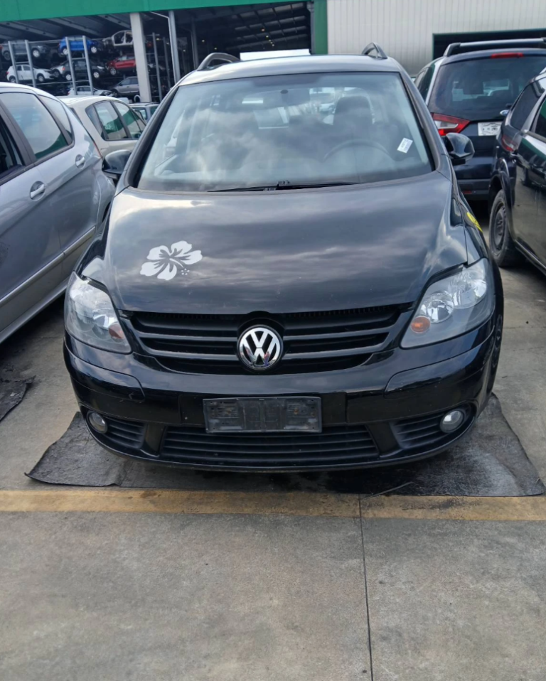 VW Golf Plus НА ЧАСТИ | 1.9 TDI / 1.6 FSI