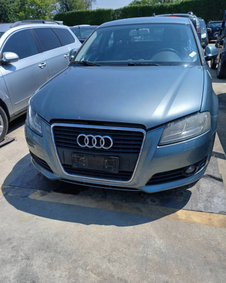 Audi A3 8P НА ЧАСТИ | 1.6 TDI CAY (105 к.с.)